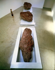 Michael Heizer, Elevated Surface Depressed, 1969-81