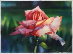 Kirk Lybecker Rose, c. 1993-94